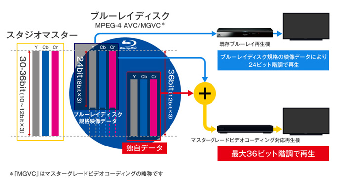 画像：マスターグレードビデオコーディング