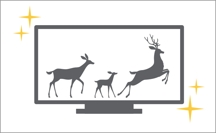 選び方のポイント② 画質機能