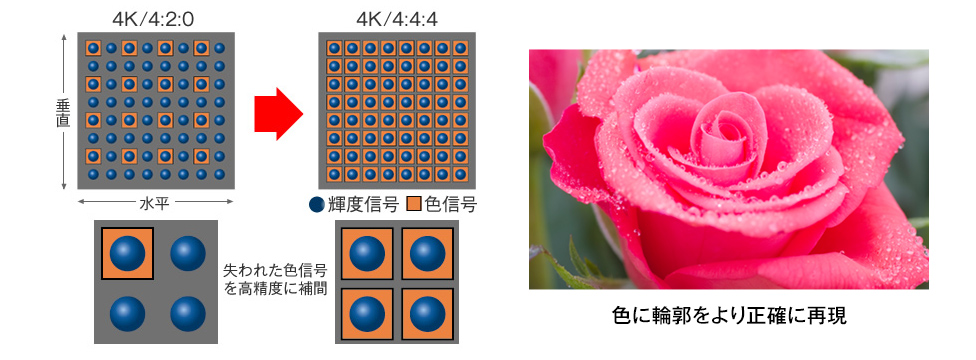 画像：高精度な色信号処理が質感・煌き感を引き出す「4Kリアルクロマプロセッサ」