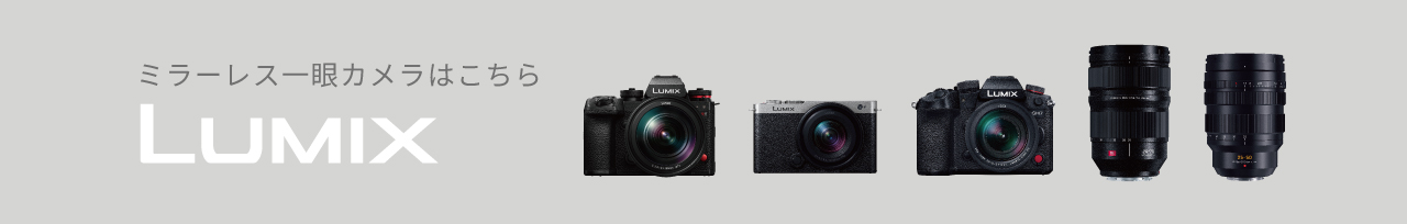 ミラーレス一眼カメラ LUMIX詳しくはこちら