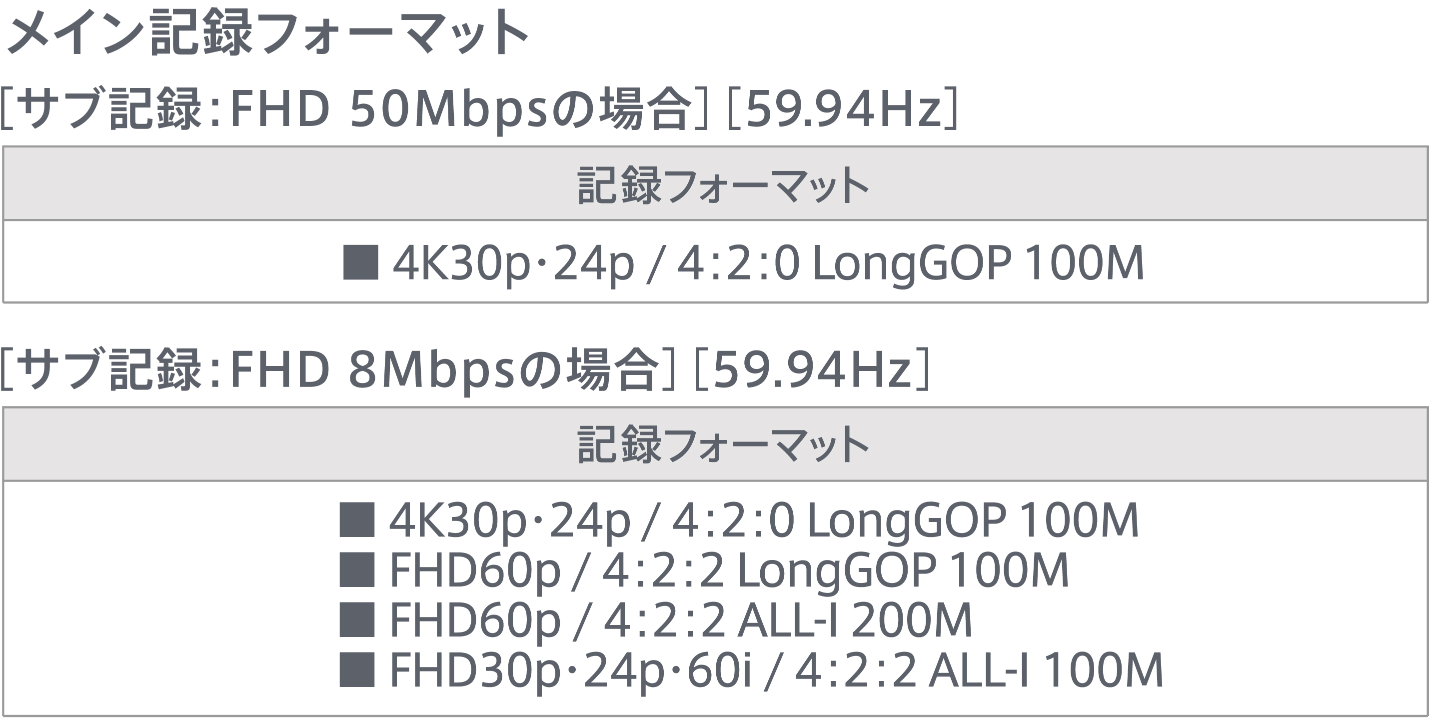 デュアルコーデック記録