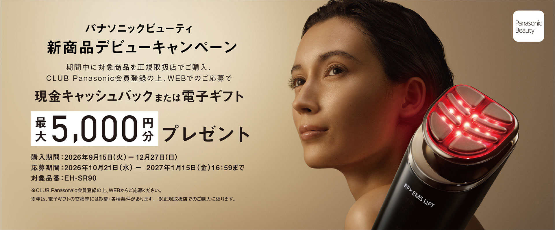 フェイスケア（スチーマー・美顔器） | カテゴリー概要 | Panasonic