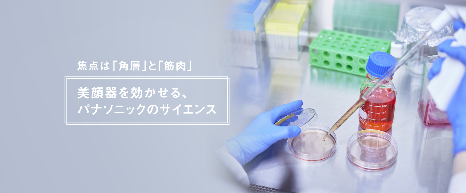 焦点は「角層」と「筋肉」,美顔器を効かせる、パナソニックのサイエンス