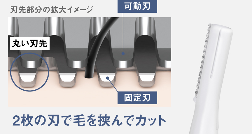 刃先部分の拡大イメージ 2枚の刃で手を挟んでカット