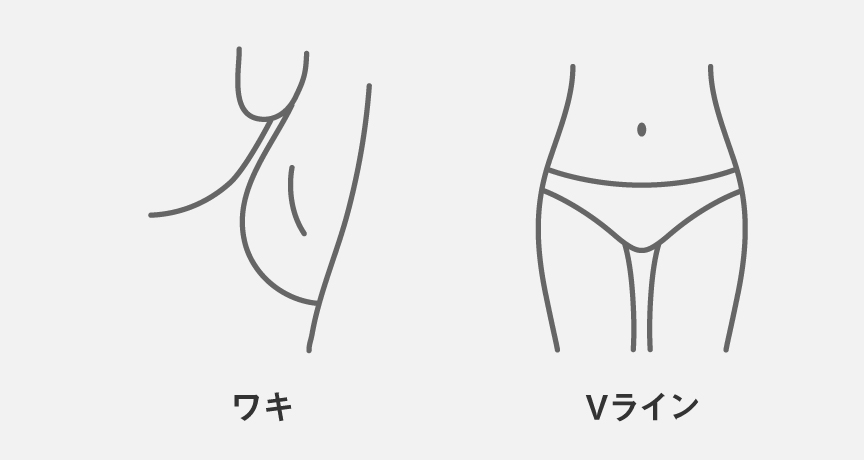 ワキ、Vライン