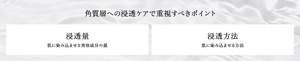 角質層への浸透ケアで重視すべきポイント「浸透量 染み込ませる美容成分の量」「浸透方法 肌に染み込ませる方法」