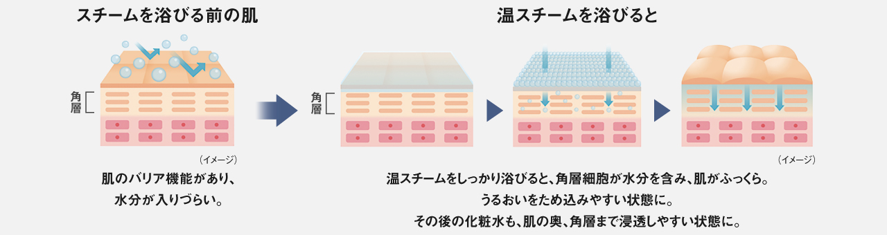 イラスト：スチームを浴びる前は肌のバリア機能があり、水分が入りづらい。温スチームをしっかり浴びると、角層細胞が水分を含み、肌がふっくら。 うるおいをため込みやすい状態に。 その後の化粧水も、肌の奥、角層まで浸透しやすい状態に。