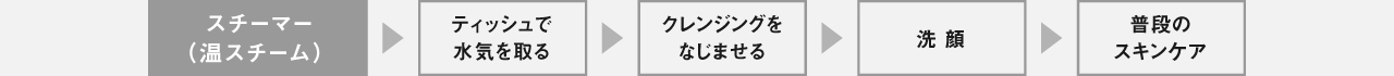 スチーマー（温スチーム）/ティッシュで水気を取る/クレンジングをなじませる/洗顔/普段のスキンケア