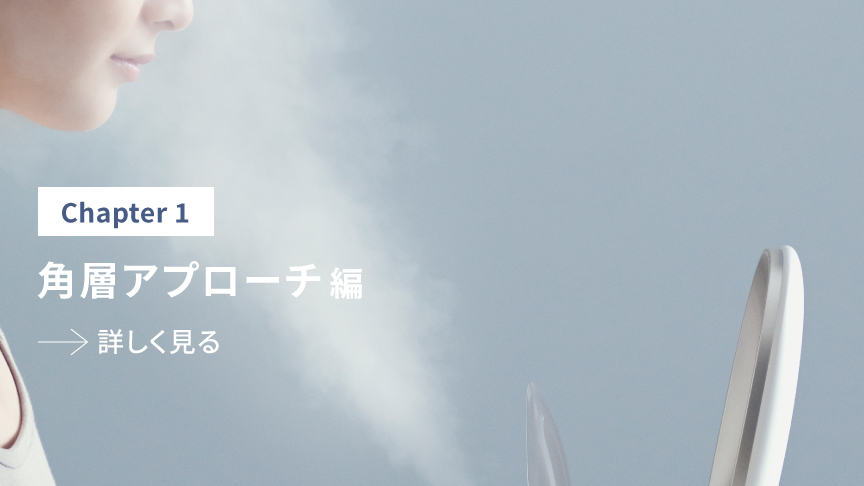 Chapter1 角層アプローチ編