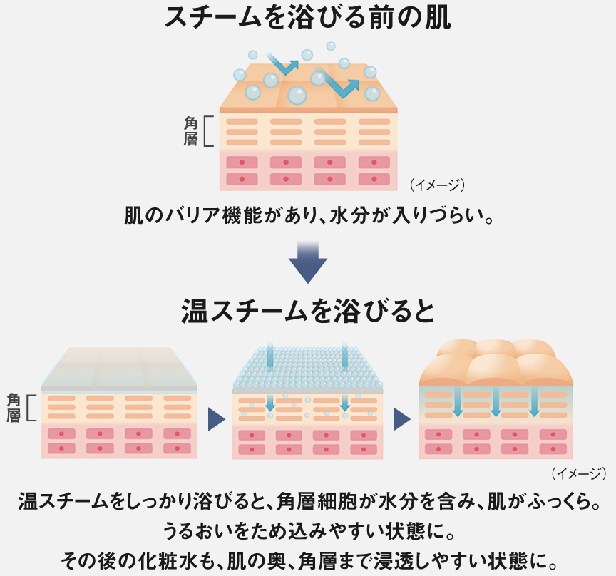 イラスト：スチームを浴びる前は肌のバリア機能があり、水分が入りづらい。温スチームをしっかり浴びると、角層細胞が水分を含み、肌がふっくら。 うるおいをため込みやすい状態に。 その後の化粧水も、肌の奥、角層まで浸透しやすい状態に。