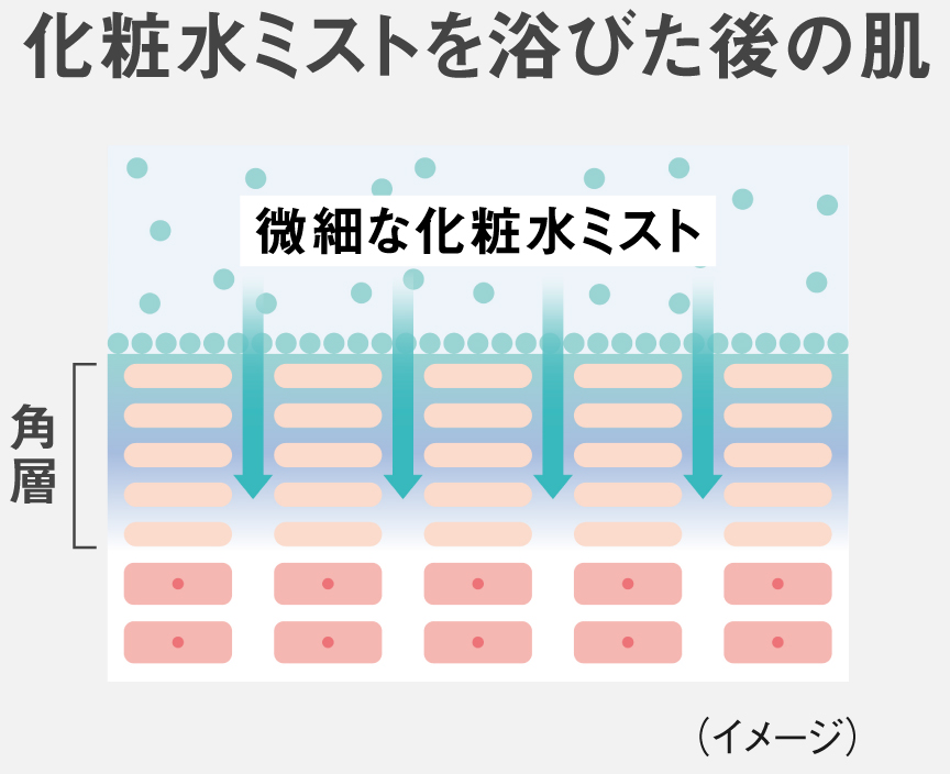 イラスト：化粧水ミストを浴びた後の肌のイメージ