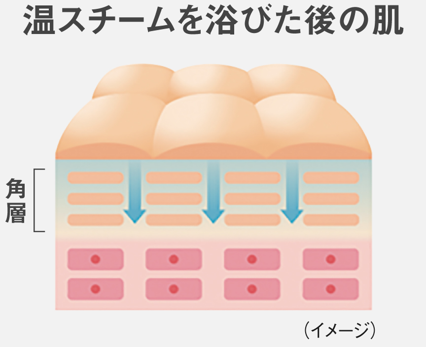 イラスト：温スチームを浴びた後の肌のイメージ