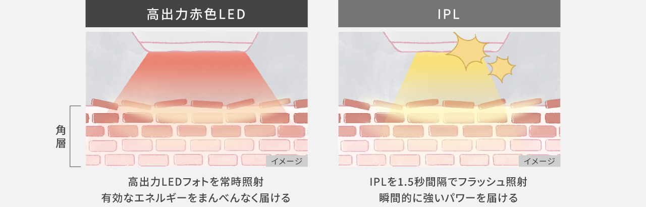 2種類の光照射イメージ 高出力赤色LED：高出力LEDフォトを常時照射 有効なエネルギーをまんべんなく届ける IPL：IPLを1.5秒間隔でフラッシュ照射 瞬間的に強いパワーを届ける