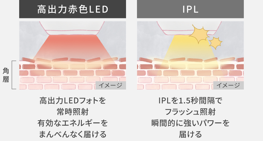 2種類の光照射イメージ 高出力赤色LED：高出力LEDフォトを常時照射 有効なエネルギーをまんべんなく届ける IPL：IPLを1.5秒間隔でフラッシュ照射 瞬間的に強いパワーを届ける