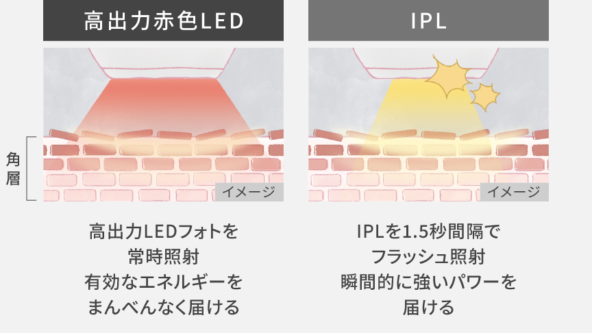2種類の光照射イメージ,高出力赤色LED：高出力LEDフォトを常時照射 有効なエネルギーをまんべんなく届ける,IPL：IPLを1.5秒間隔でフラッシュ照射 瞬間的に強いパワーを届ける