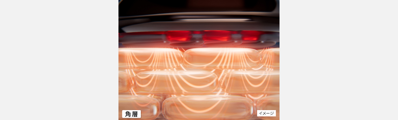 イメージ：角層