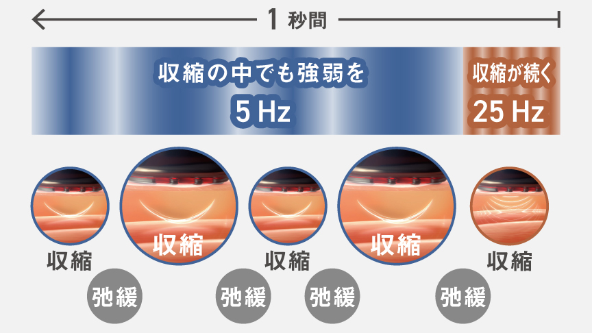 イメージ図：収縮の中でも強弱を 5Hz、収縮が持続 25Hz