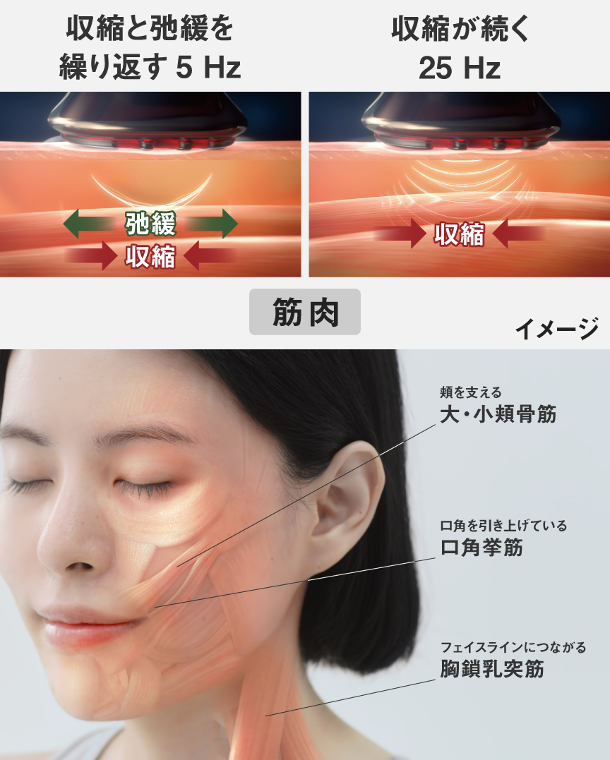 イラスト：収縮と弛緩を繰り返す5Hz、収縮が続く25Hz イメージ写真：頬を支える大・小頬骨筋,口角を引き上げている口角挙筋,フェイスラインにつながる胸鎖乳突筋