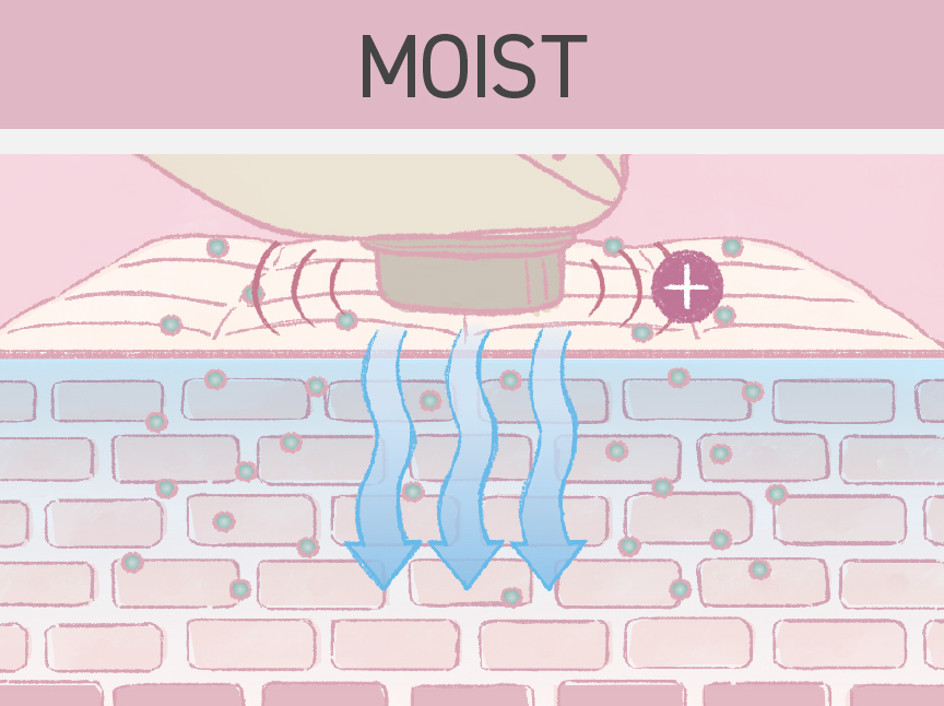 イメージ：MOIST