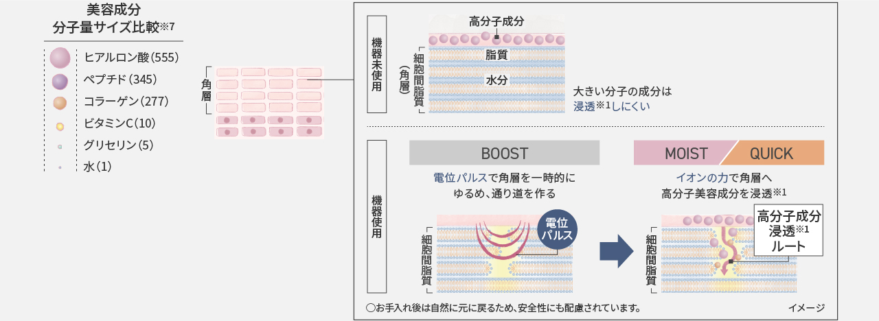 高分子成分が角質層へ浸透する仕組みの解説図。大きい分子の成分は浸透しにくいが、角質層を一時的にゆるめ、通り道をつくることで（BOOST）角質層へ高分子美容成分を浸透させることができる（MOIST／QUICK）。