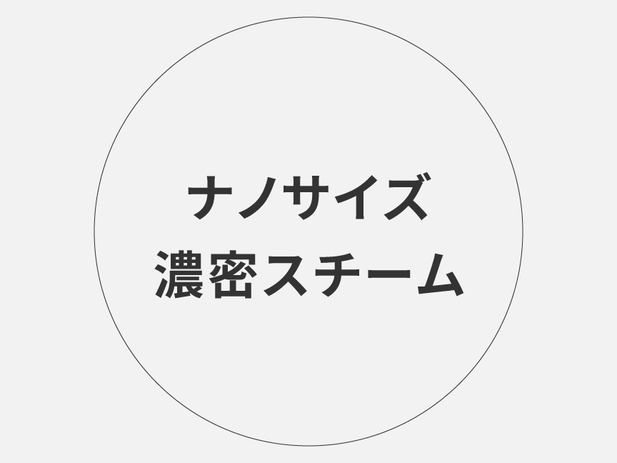 ナノサイズ濃密ダブルスチーム