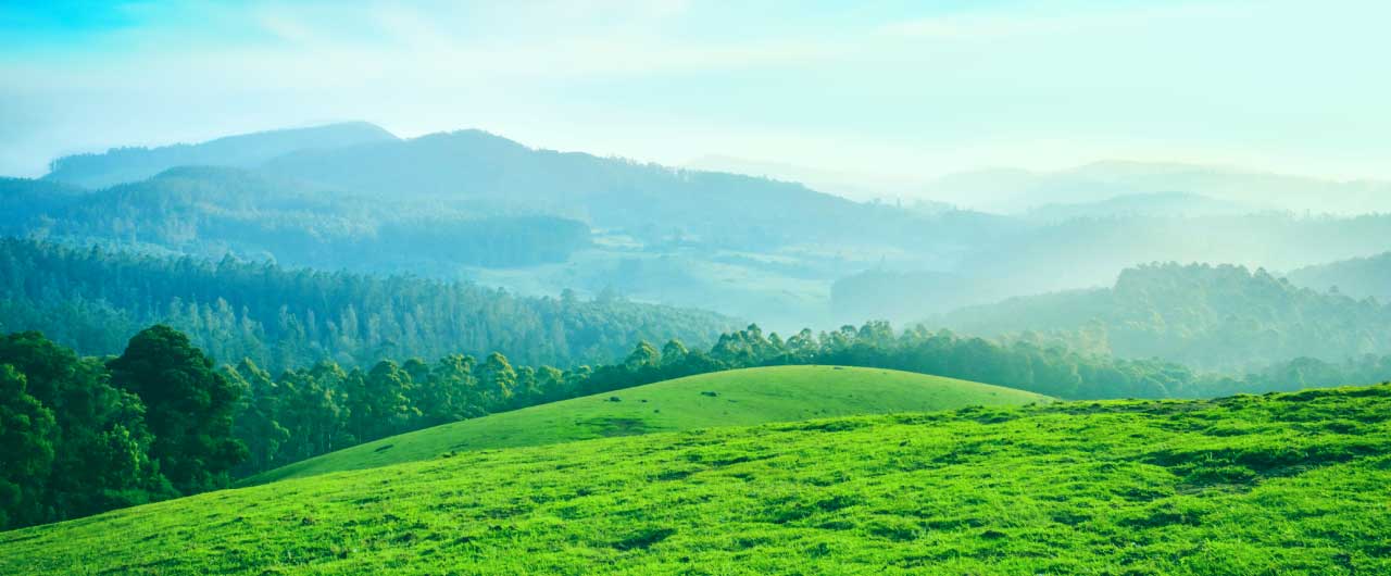 爽やかな風が吹く高原のイメージ