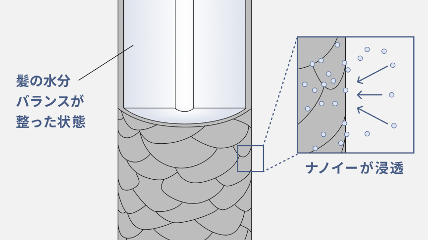 イラスト：ナノイーが浸透して、髪の水分量が均一な状態になった毛髪のイメージ