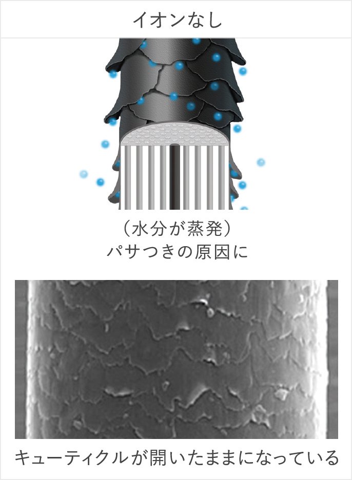 イオンなし (水分が蒸発)バサつきの原因に キューティクルが開いたままになっている