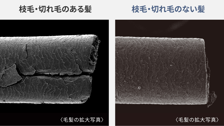 写真：枝毛・切れ毛のある髪とない髪の比較