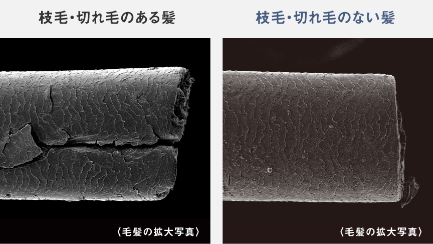 写真：枝毛・切れ毛のある髪とない髪の比較