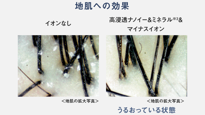 高浸透ナノイー＆ミネラル＆マイナスイオンとイオンなし機種の地肌への効果の比較イメージ