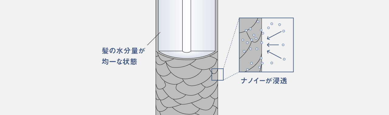 イラスト：ナノイーが浸透して、髪の水分量が均一な状態になった毛髪のイメージ