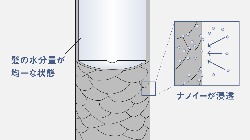 イラスト：ナノイーが浸透して、髪の水分量が均一な状態になった毛髪のイメージ