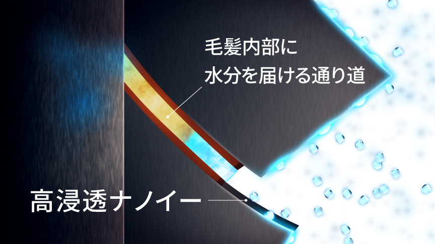 イメージ：高浸透ナノイーがキューティクルのわずかな間から入り込む