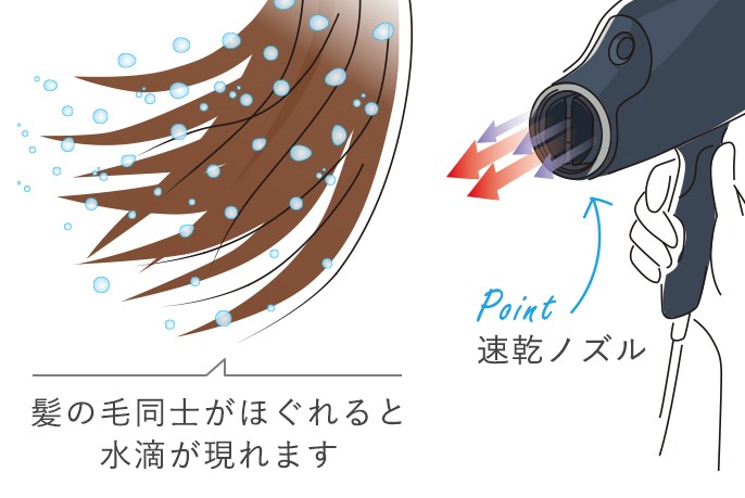 【イラスト】point：速乾ノズル 髪の毛同士がほぐれると水滴が現れます