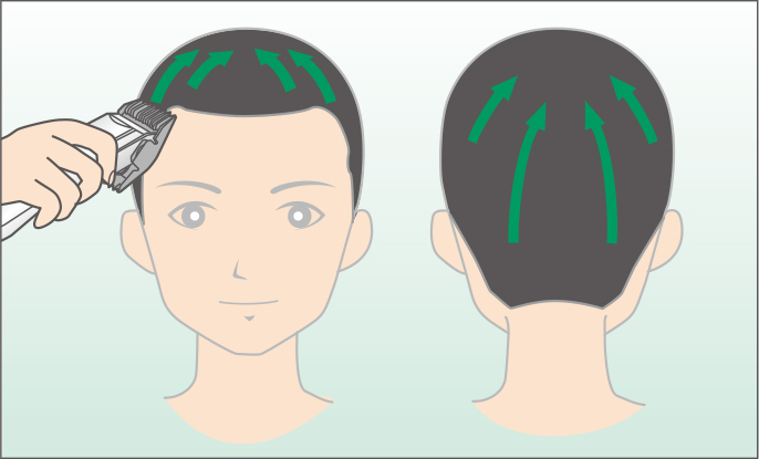 毛の流れと反対方向にカット