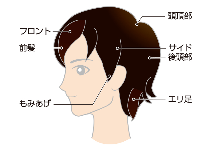 	頭部の名称