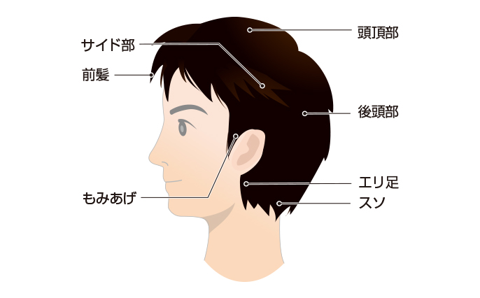 頭部のなまえ