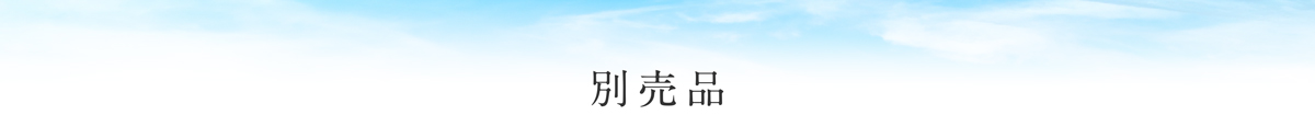 別売品