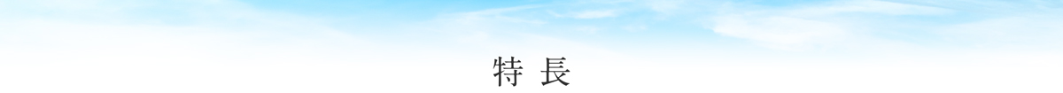 特長