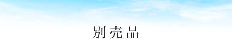 別売品