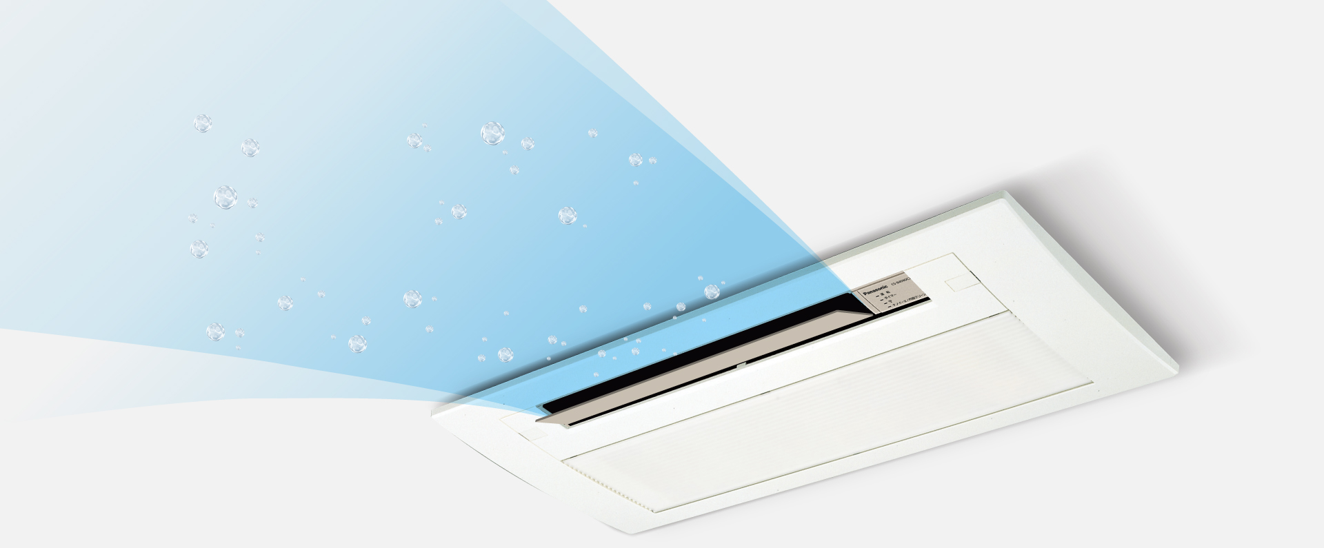 詳しく見るボタンから清潔の特長ページにリンクします