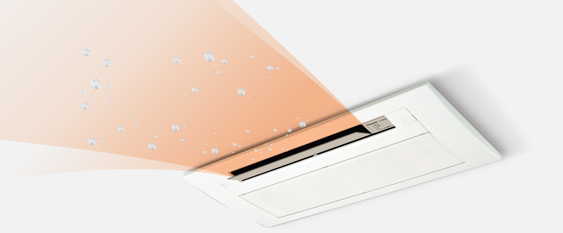 詳しく見るボタンから清潔の特長ページにリンクします