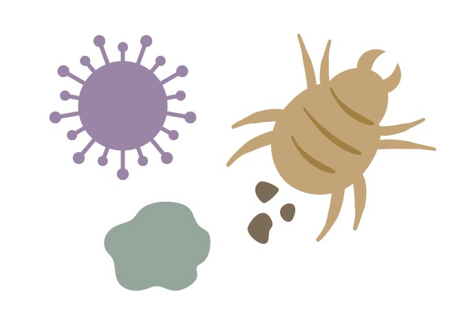 altテキストが入ります