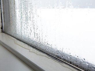 altテキストが入ります