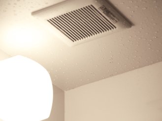 altテキストが入ります