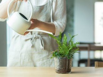 altテキストが入ります