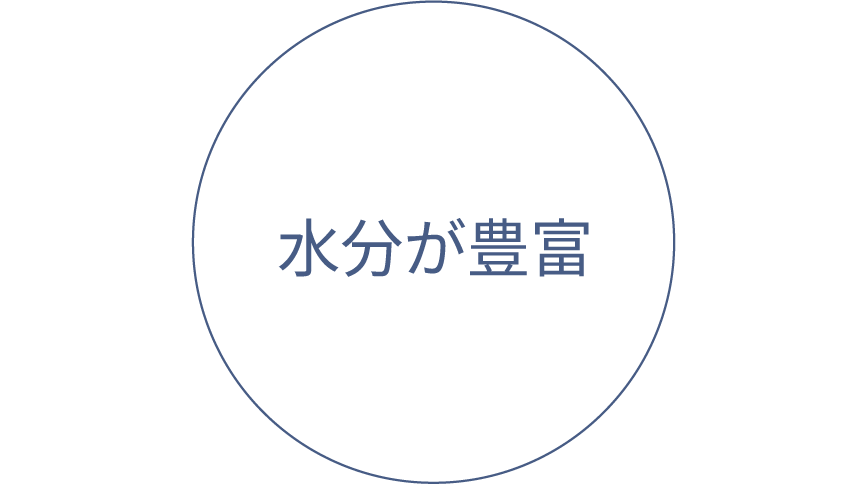 水分が豊富