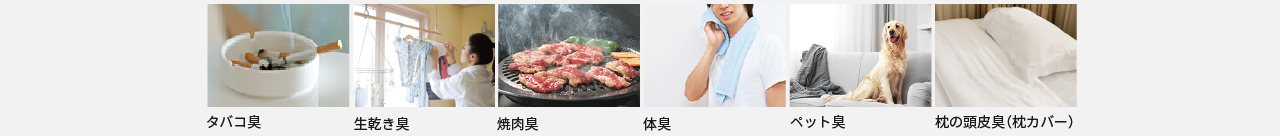タバコ臭、生乾き臭、焼肉臭、体臭、ペット臭、枕の頭皮臭（枕カバー）
