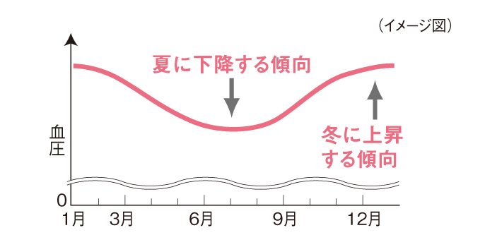 年間の血圧グラフ